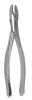 Tooth Forceps for Adult