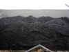 steam coal