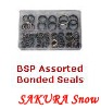 BSP Assorted bonded seals