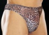 Lycra leopard print Thong