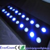 CREE 60W Aquarium Lights For Coral Reef