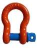 G-209 srcrew pin anchor shackles,us type shackles