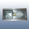 energy saving underground light with induction lamps