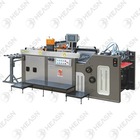 Full Automatic Screen Printing machine for film