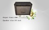 FORANCE Guitar Amplifier