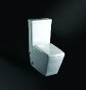 One-piece toilet (WT-1122)