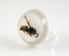 2011 Fashion hot sale good-looking resin ring RBT47