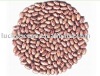 Light Speckled kidney beans(round shape)