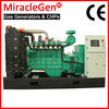 CE approved Natural Gas Generator 10-15kW