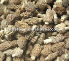 IQF morel mushrooms