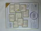 PARCHMENT CERTIFICATE