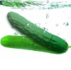 New design Sex toy Cucumber vibrator