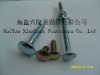 CARRIAGE BOLTS