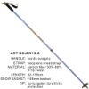 SK15-2 Ski Pole