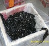 black coating link chain