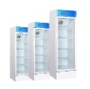 the single door single temperature vertical showcase freezer LG4-238F