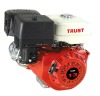 389cc 188F 4-stroke 9.7kw small petrol engine TRQ003