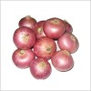 red onion