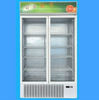 double door upright refrigerator