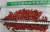 goji berry wolfberry