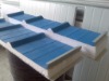 prepainted steel sandwich panel