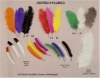 ostrich feather