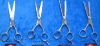 Professional hair scissors/barber scissors/hair cutting scissors/hair trimmer