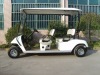 e golf cart