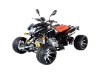 quadracing atv , eec, SP307J 250 EEC ATV