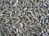 high quality sunflower kernels, confectionary grade