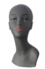 plastic training mannequin display model head