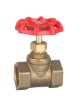 brass gate valve