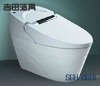 one-piece toilet