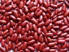 red kidney bean