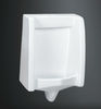 E203 porcelain ceramic small urinal ceramic wall-hung urinal