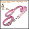 Personalized diy nylon dog collar and leash