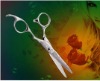 Professional hair shears