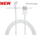 NEW lightning usb cable for iPhone5, high quality usb cable for iphone5