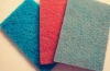 colourful scouring pad