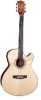 Spruce Plywood Acoustic Guitar Cutaway musical instrument