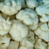 supply Chinese IQF frozen cauliflower