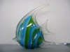 GLASS FISH IN STOCK