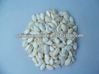 white pumpkin seeds