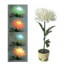 flowerpot solar lamp