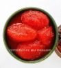 China Xinjiang HACCP HALAL A10 canned whole peeled tomato