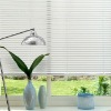 venetian blinds