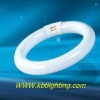 led circle tube