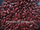 Red kidney bean/red bean