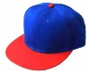 New Style Snap back Hats/Cap Wholesale