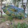 Inside Full Printing Fold Umbrella